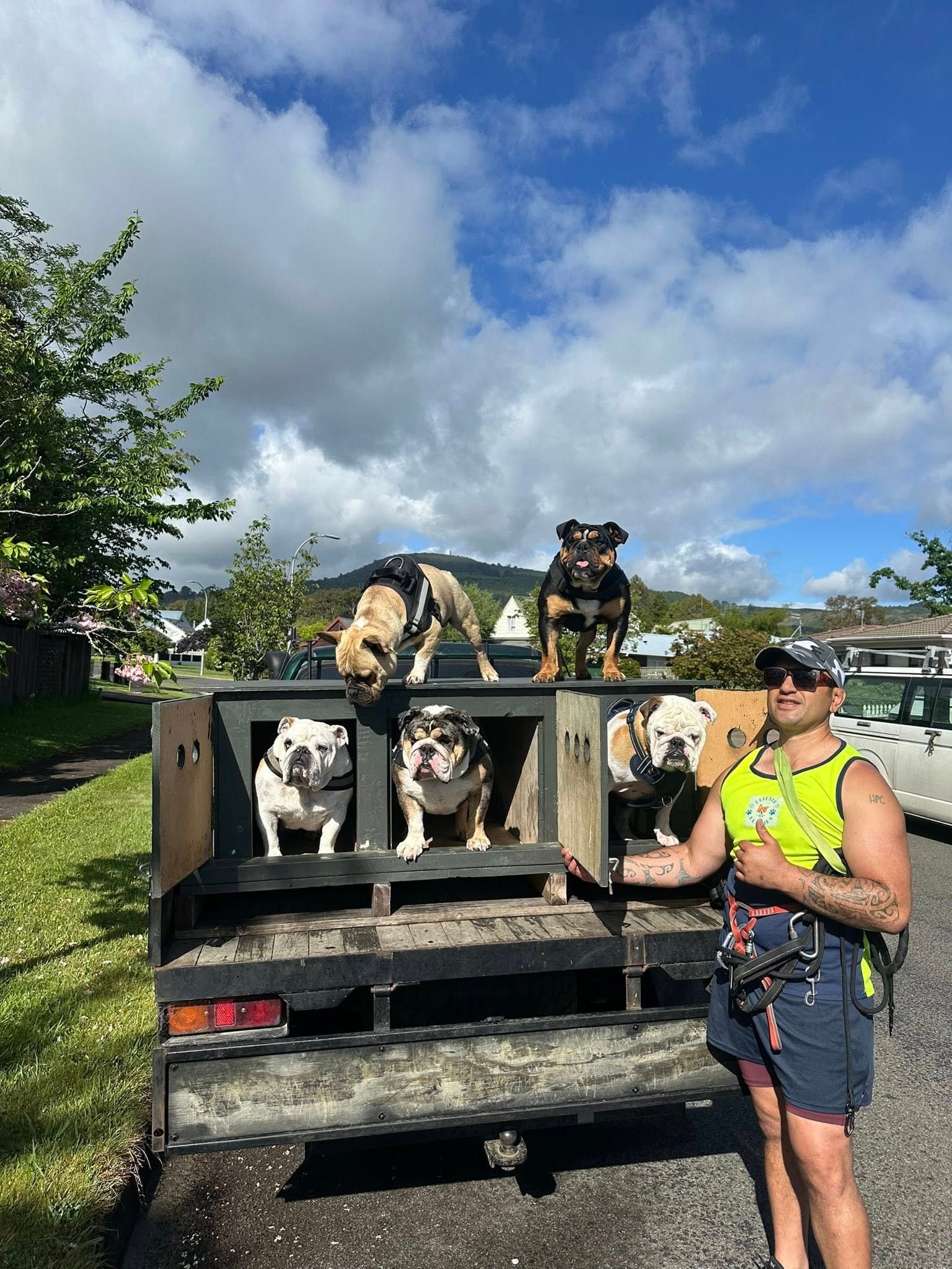 Meihana with dogs